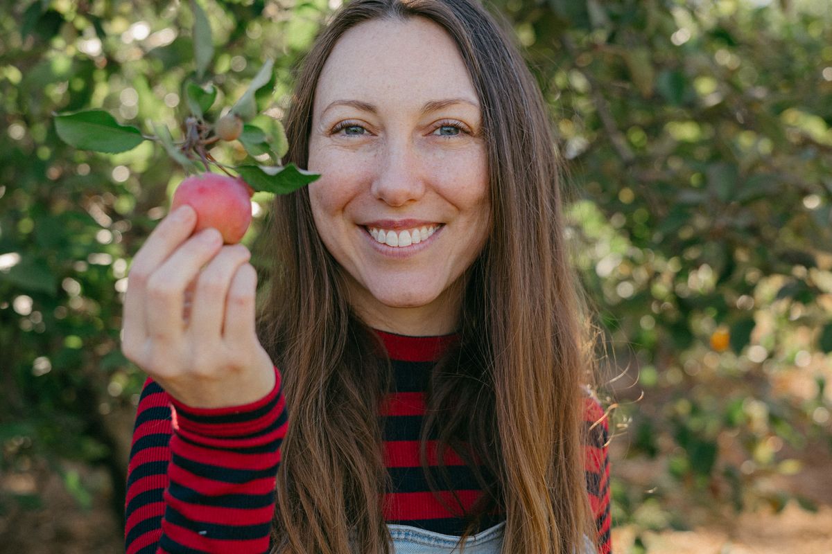Woman picking apples in an orchard during fall