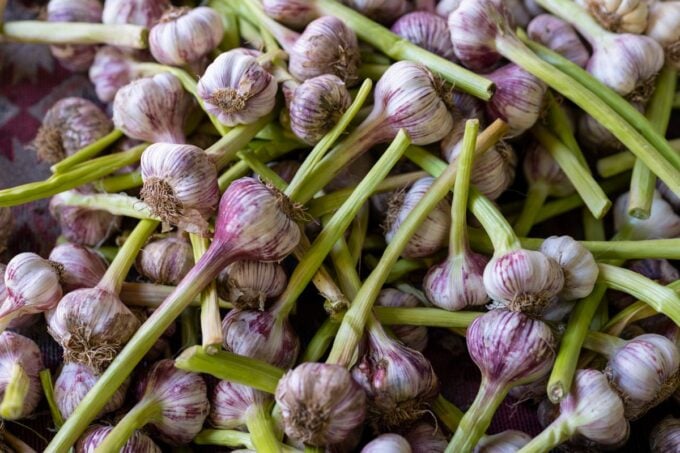 Fresh garlic bulbs displayed at a local farmers market