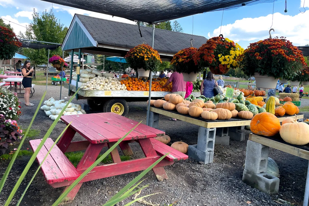 Pumpkins, produce and mums at the Andersen Farms farm stand in Sparta, NJ