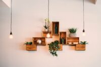 Rustic wooden crate shelves with plants and hanging lights, suggesting a local antiques and goods shop vibe