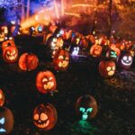 Illuminated pumpkin lanterns glowing in a field at night for Halloween in Sussex County NJ