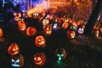 Illuminated pumpkin lanterns glowing in a field at night for Halloween in Sussex County NJ