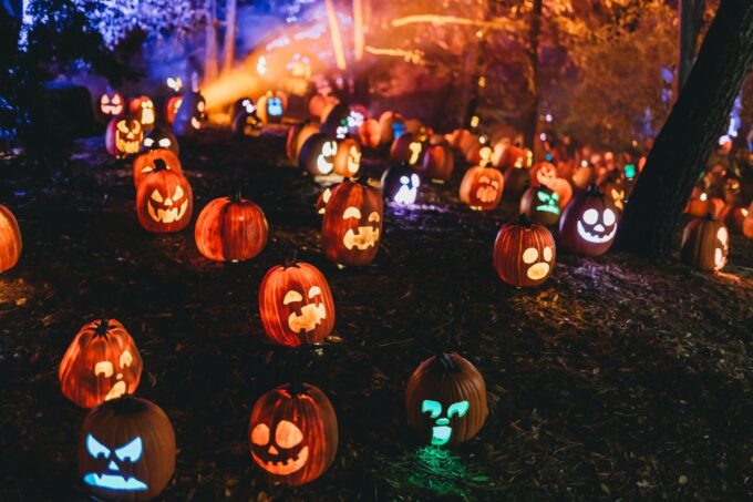 Illuminated pumpkin lanterns glowing in a field at night for Halloween in Sussex County NJ