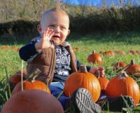 Child in the pumpkin patch at Heaven Hill Farm in Vernon NJ