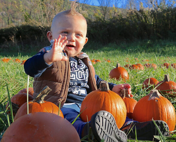 Child in the pumpkin patch at Heaven Hill Farm in Vernon NJ