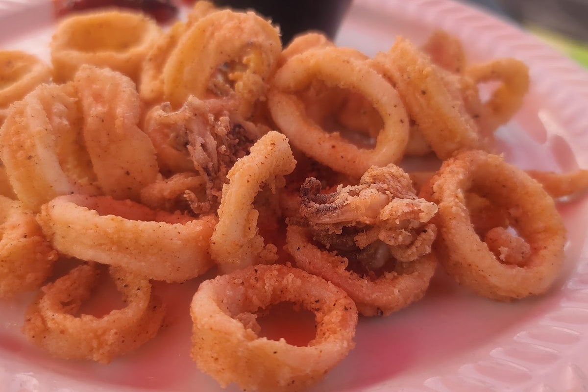 Fried calamari appetizer at The Lafayette House restaurant in Lafayette, NJ