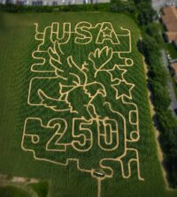 Aerial view of the 2026 Lentini Farms corn maze in Newton, NJ, cut in a USA and eagle design