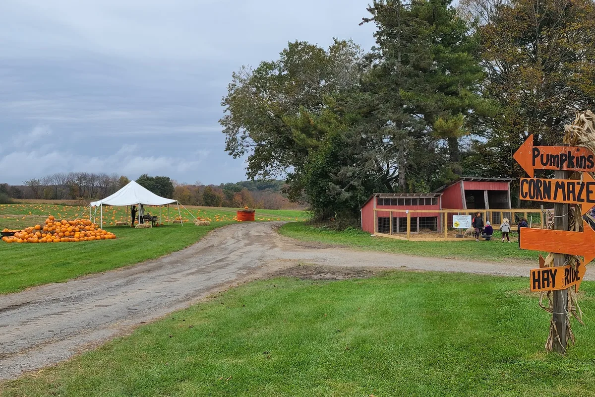 Lentini Farms farm stand and pumpkins along Route 94 in Newton, NJ