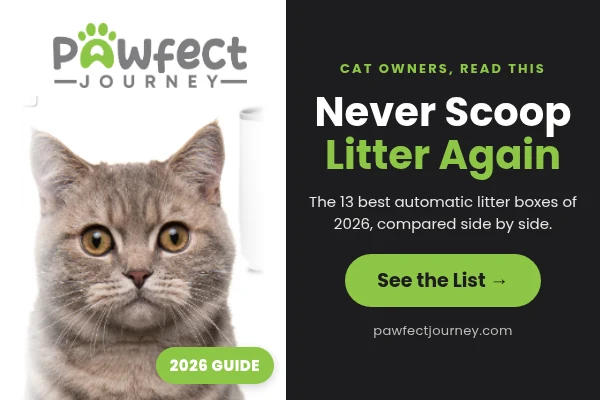 Pawfect Journey: the 13 best automatic litter boxes of 2026