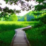 The Appalachian Trail boardwalk winding through the Pochuck Creek wetlands in Vernon, NJ