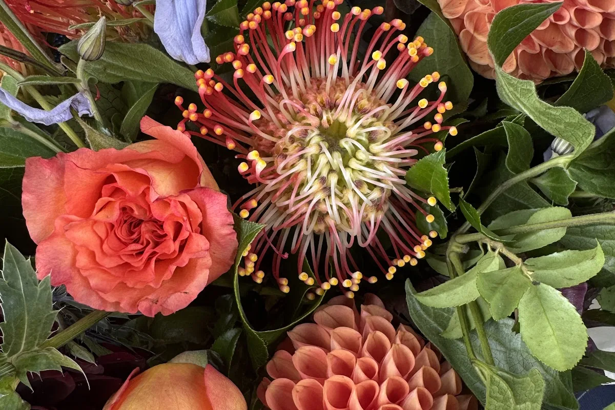 Bouquet of roses, dahlias and protea from Redshaw's Flower Shop in Sparta NJ