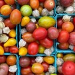 Heirloom tomatoes and ground cherries in baskets at Sparta NJ farmers market