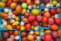 Heirloom tomatoes and ground cherries in baskets at Sparta NJ farmers market