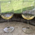Two glasses of white wine on a barrel at Ventimiglia Vineyard in Wantage, NJ
