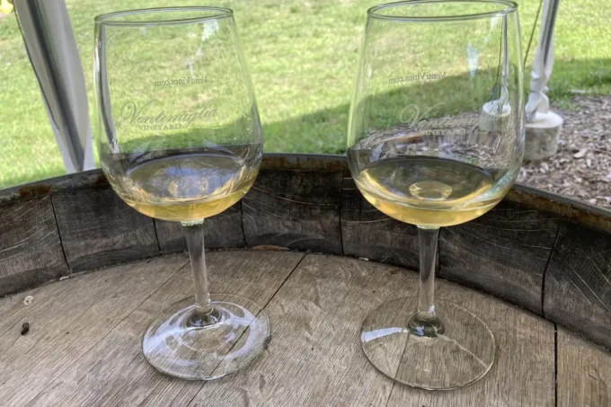 Two glasses of white wine on a barrel at Ventimiglia Vineyard in Wantage, NJ