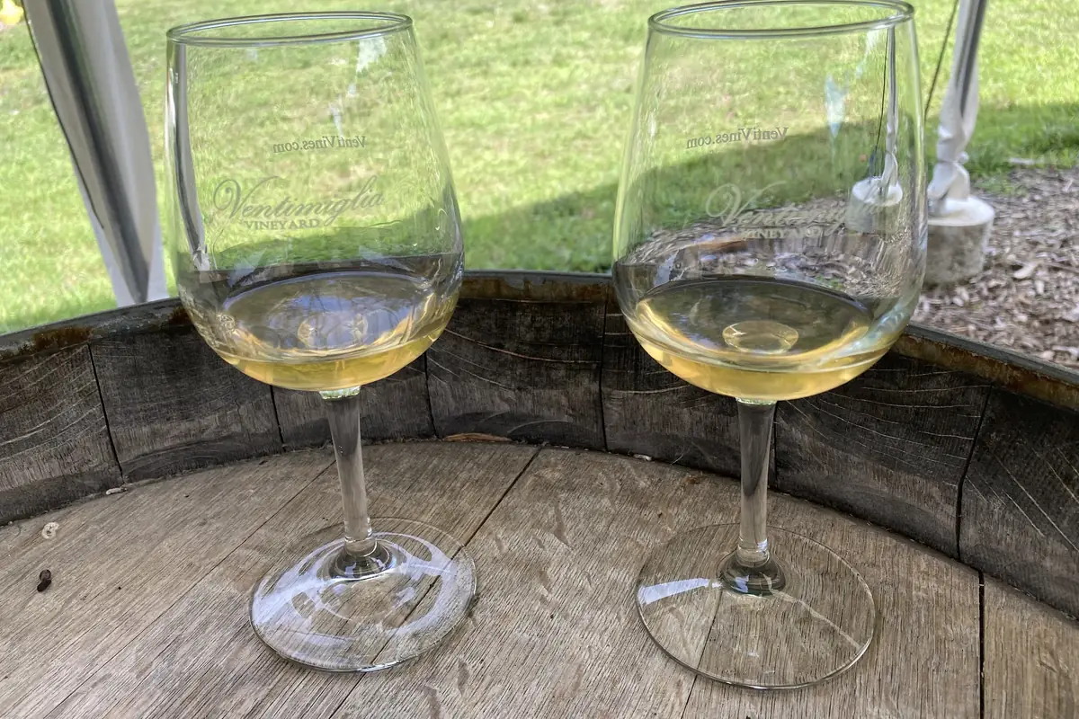 Two glasses of white wine on a barrel at Ventimiglia Vineyard in Wantage, NJ